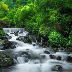 Cherapunjee Images by Srikrishna Das