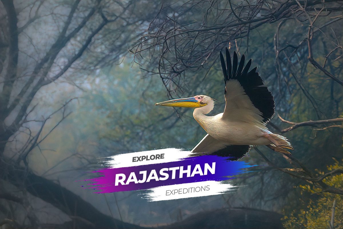 Explore Rajasthan